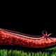 Illustration for article titled 3-Year-Old Girl Goes for Mile-Long Walk by Herself in the Middle of Night